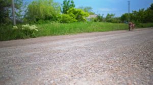 Американский Булли. Взаимодействие с незнакомым человеком.