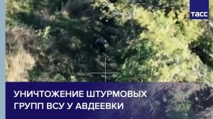 Уничтожение штурмовых групп ВСУ у Авдеевки
