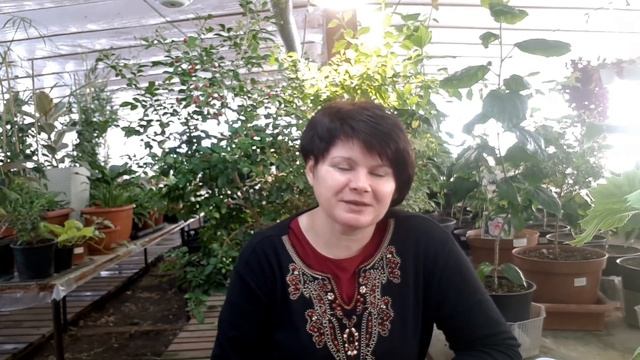 Коллекция или ассортимент? Что побуждает нас к собирательству??
