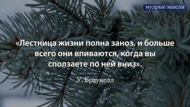 Прекрасные изречения и высказывания | Жемчужины Мудрых Мыслей смотреть онлайн