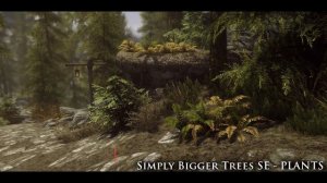 TESV - Skyrim SE Mods: Simply Bigger Trees SE by fadingsignal