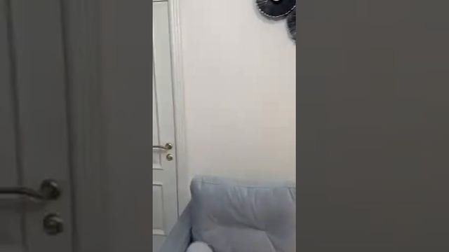 ЖК Новая Заря , 5 этаж , Новый дизайнерский ремонт, мебель, 27,3 , корпус 1 , 8?500 смотреть онлайн