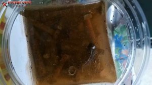 #Проверено!!! Как удалить ржавчину? Уксус или лимонная кислота?