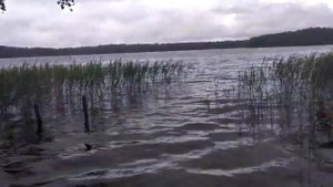 Малое Плотово, Паранормальное рядом