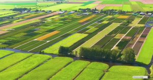 Коран сура Аль-Мурсалат видео 4к Миншави -Minshawiy