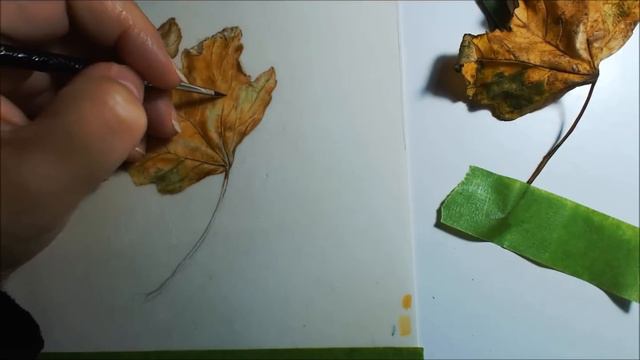 Leaf speed x16 смотреть онлайн