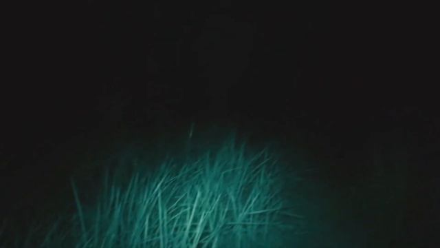 ТОП ЖЕСТИ В ЧЕРНОБЫЛЕ / СТРАШНЫЕ КАДРЫ / ПРИПЯТЬ