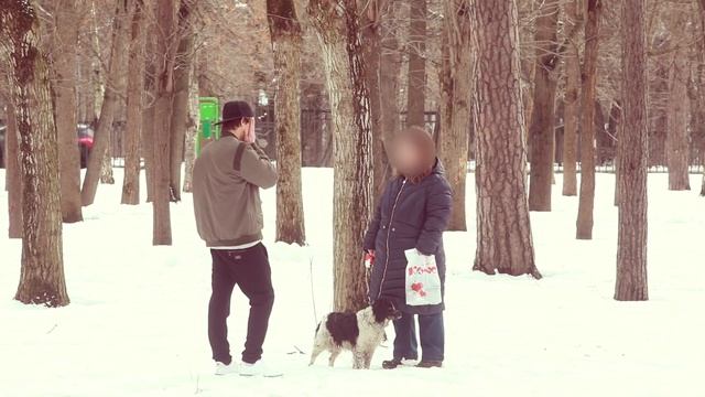 Деньги Решают Всё: Купить Собаку У Прохожих смотреть онлайн