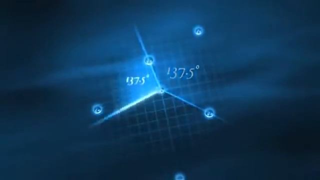 Золотое сечение и числа Фибоначчи   YouTube