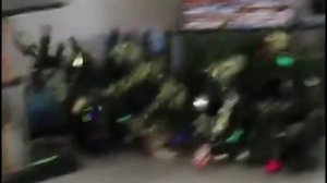 Коты и новогодняя елка. Скоро во всех квартирах страны