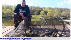 Лучший активатор клева