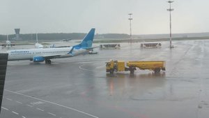 Тропический ливень в аэропорту! Споттинг во Внуково