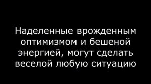 Какие 3 знака самые веселые – ГОРОСКОП