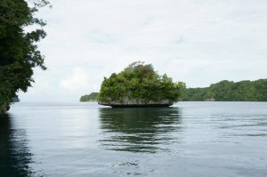 Острова Палау и Яп.mp4