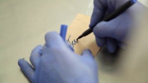 СЕКРЕТЫ ПРИГОТОВЛЕНИЯ ШОКОЛАДА НА МЕДУ!