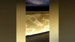 Музей-институт семьи Рерихов - видеоэкскурсия