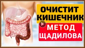 ЧИСТКА ТОЛСТОГО КИШЕЧНИКА ПО МЕТОДУ Е.ЩАДИЛОВА.mp4