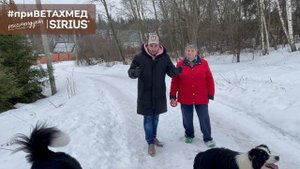 №20. Секрет породы. Бордер-Колли