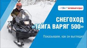 Недорогой и топовый снегоход