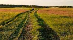 Сенокос в Якутии. Польская роторная косилка и китайская скоростная
