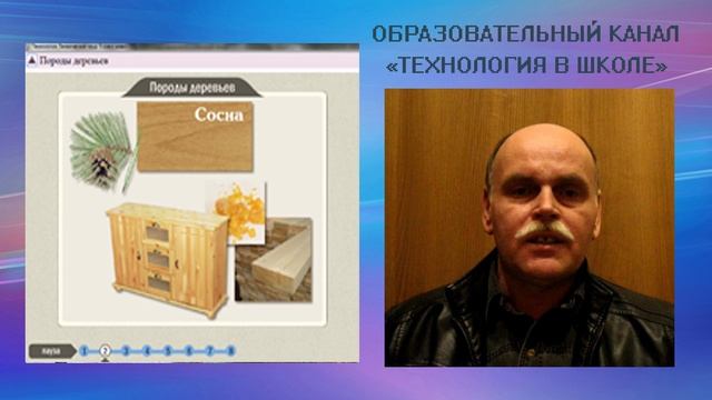 Породы деревьев. Технология в школе (выпуск 13).wmv
