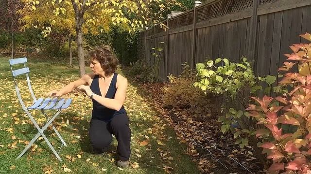 Alternative to Tricep Dips смотреть онлайн