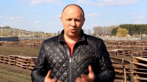 Кормовая трава для улиток Perko | Snails House Farm