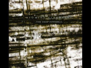 Space Electronic ⨳ Dark Ambient ⨳ Atomine Elektrine ⨳ The Deep Invisible (2008)