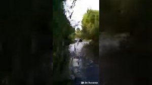 Искупали Кадиллак Эскалейд. Кадиллак Эскалейд по сибирским лесам в полном стоке.