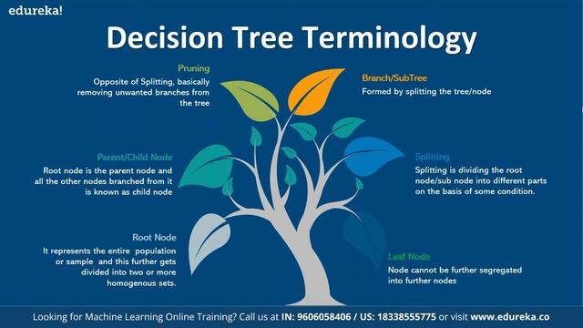 Decision Tree | Decision Tree in Python | Machine Learning Algorithms | Edureka | ML Live - 1