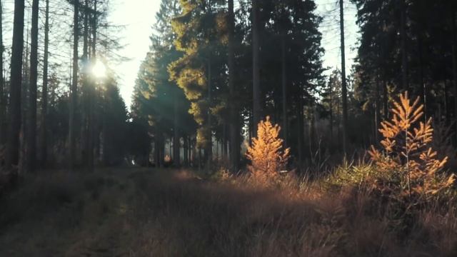 Города в России, которые скоро исчезнут с лица Земли смотреть онлайн