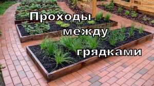 Проходы между грядками