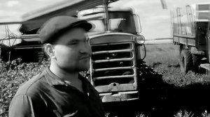 1971 год. Казанский район. Силосование