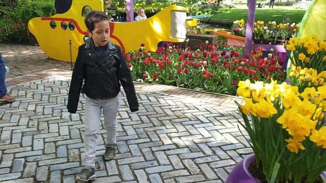 Keukenhof Tulip Fields,Holland | Keukenhof gardens Lisse,The Netherlands | Keukenhof spring series смотреть онлайн