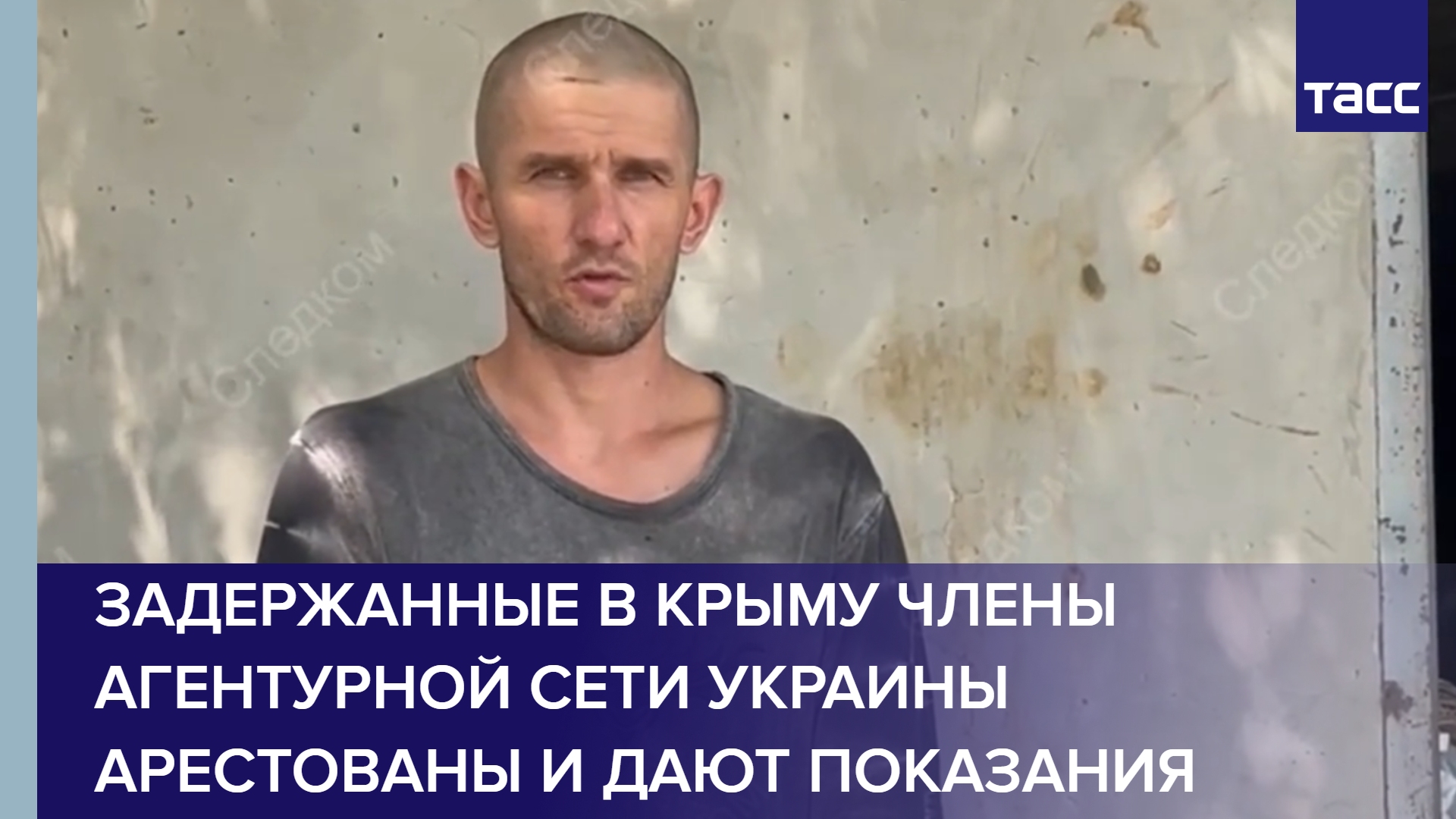 Задержанные в Крыму члены агентурной сети Украины арестованы и дают показания