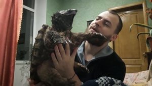 Грифовая черепаха в Николаеве / Alligator snapping turtle in Nikolaev