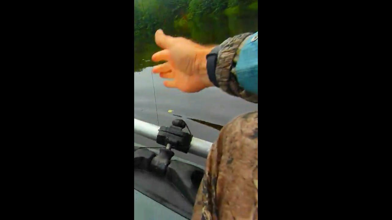 НЕ ОЖИДАЛ такой быстрой АТАКИ ЩУКИ #shorts смотреть онлайн