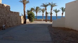 Отдых в Египте октябрь 2021. Отель Sharm Plaza 5* и Sharm Resort 4*. Обзор: номер, территория, пляж