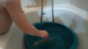 Как рыба плавает