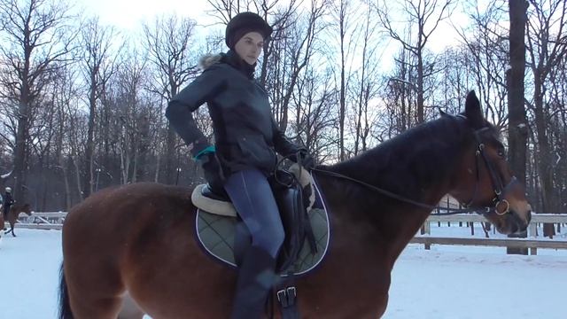 Упражнения для глубокой посадки. Верховая езда. Посадка всадника.
