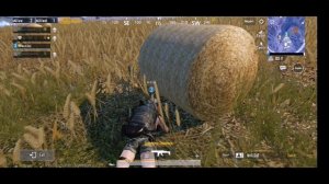 #PuBG # Snake vs snake?. #Cobra win Black mamba lose.