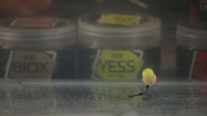 Насадки для ловли карпа: бойлы Carp Catchers 10 мм. Нейтральная презентация насадки. Оснастка