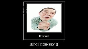 птичка спой песенку ????