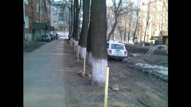 Аудио: Как провести голосование и собрать подписи в доме
