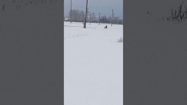 второй снегоход, готовый вариант, мелкий рулит! смотреть онлайн