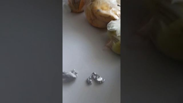 Синички в бобровниково часть 1! смотреть онлайн