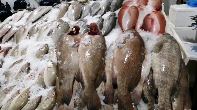 Fish market in Dubai/Visit to Dubai fish market/Waterfront market in Dubai/World's best frsh market