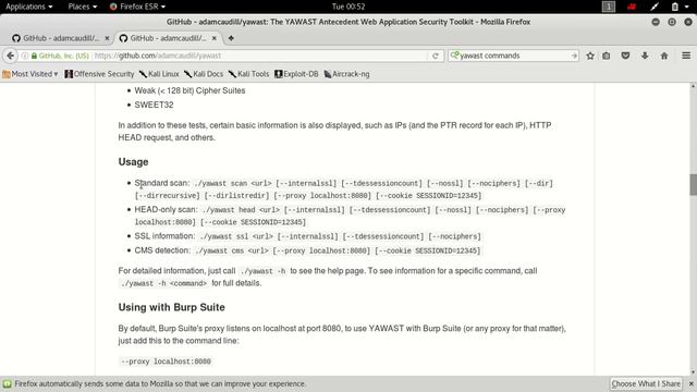 YAWAST Antecedent Web Application Security Toolkit смотреть онлайн