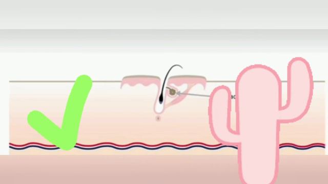 Mitos e verdades na depilação смотреть онлайн