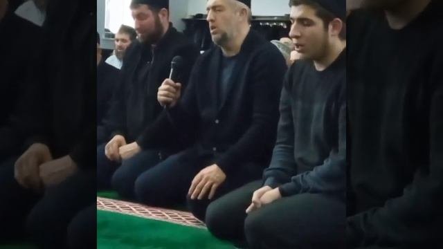 хидирбеков,мавлид